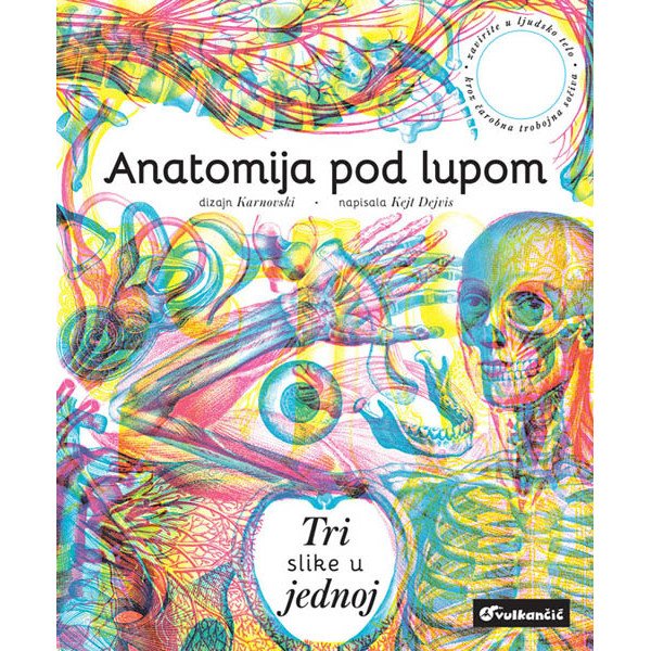 Anatomija pod lupom