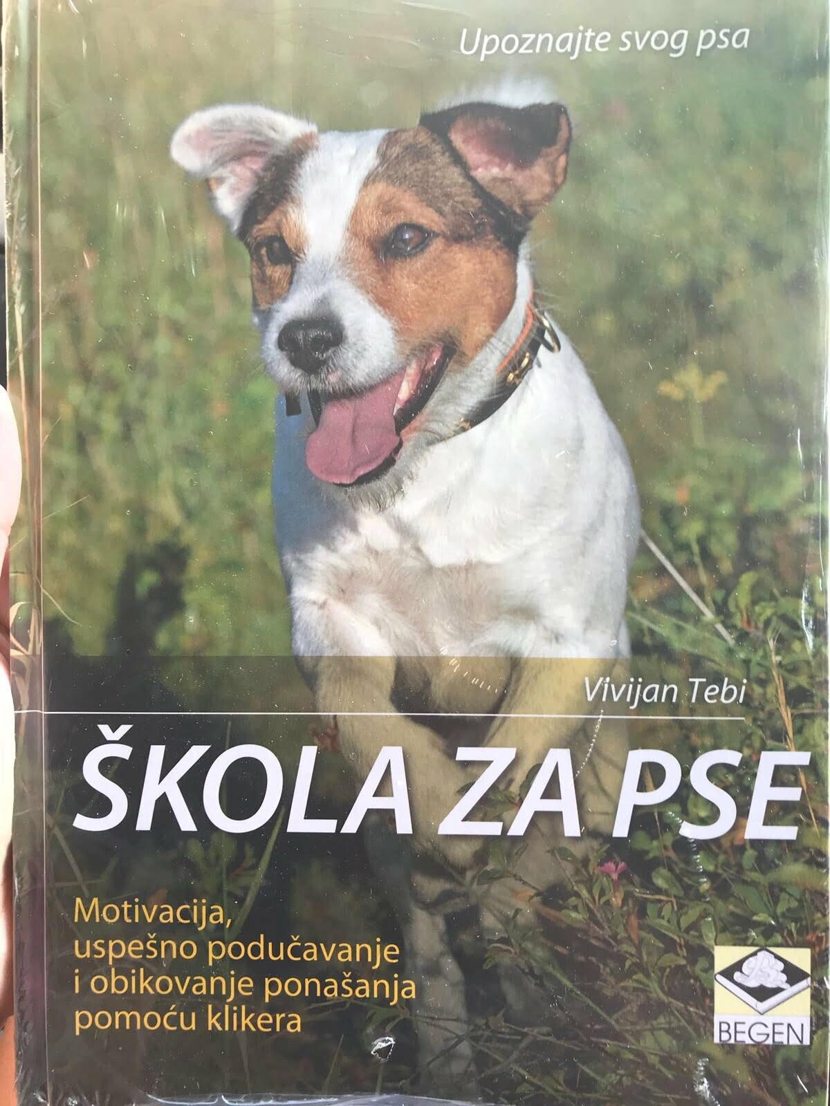 Škola za pse - Vivijan Tebi