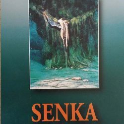 IMG_20190326_124230 Senka u magli