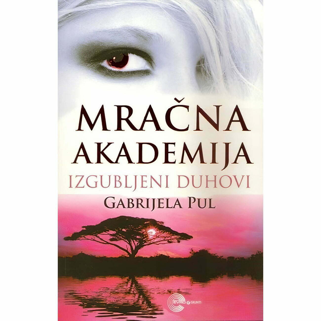 Mračna akademija 4: Izgubljeni duhovi - Gabrijela Pul