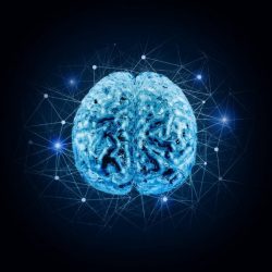 Komplet XL - Popularna Psihologija