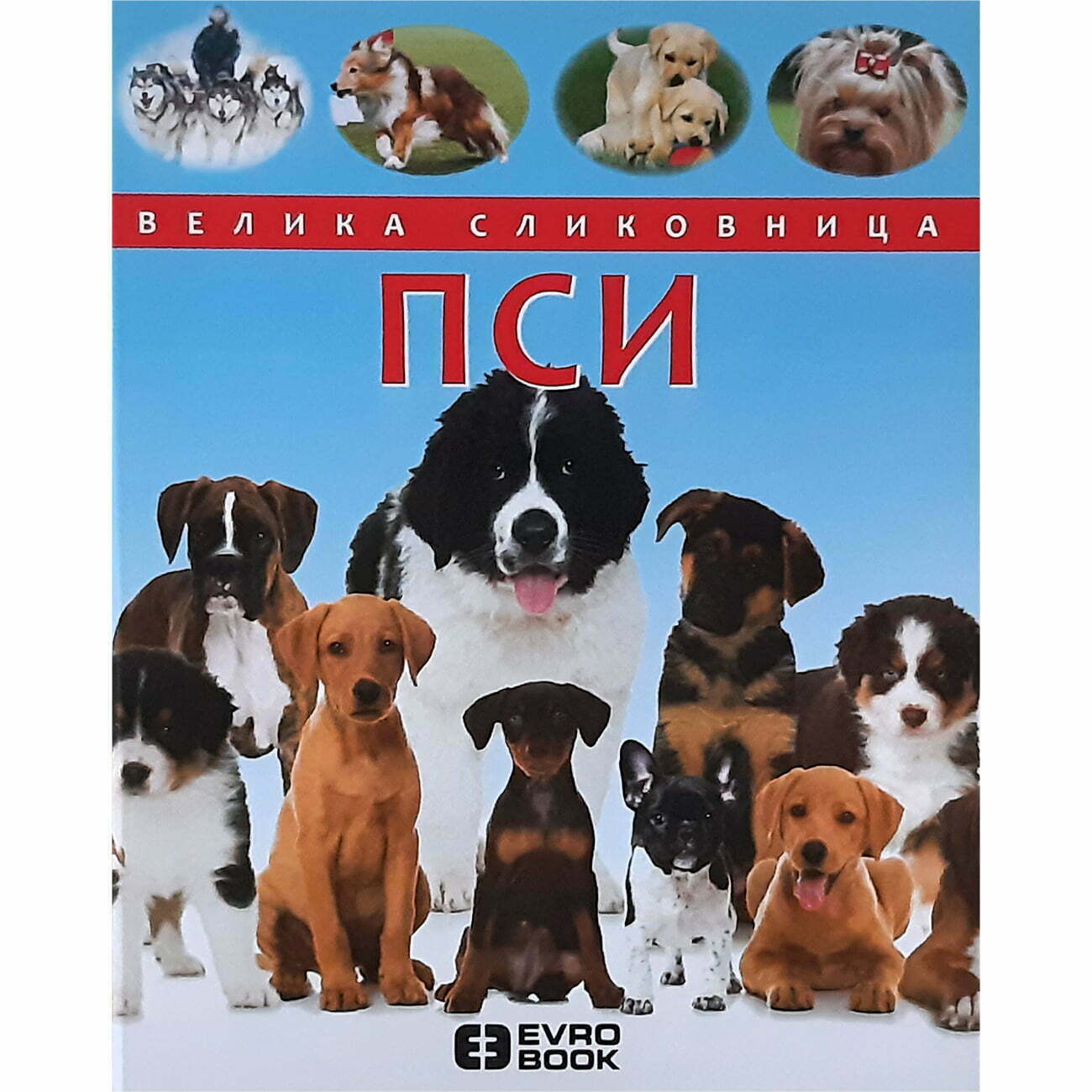 Psi: Velika slikovnica