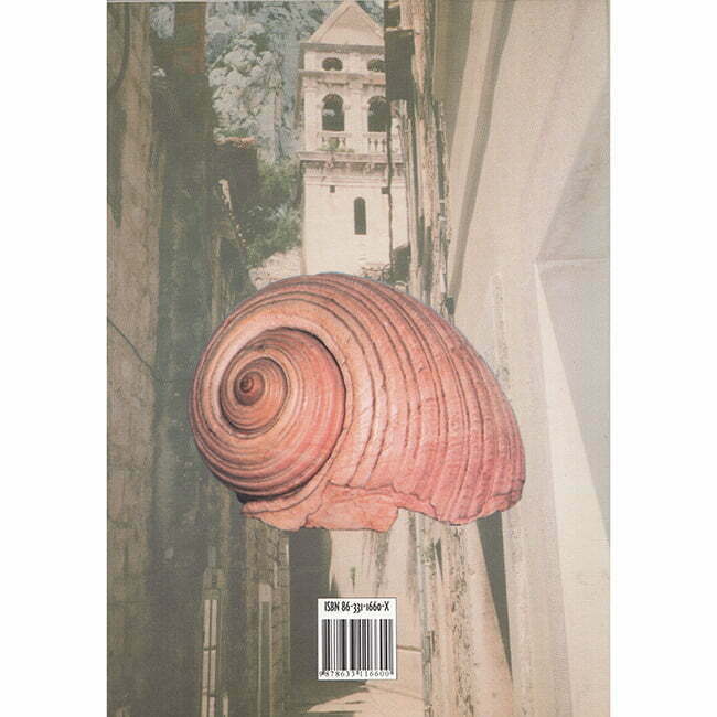 Zavičaji - autor Nikola Bertolino zadnja korica