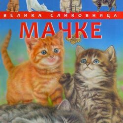 macke_-_velika_slikovnica_ Mačke - velika slikovnica