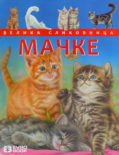 Mačke - velika slikovnica
