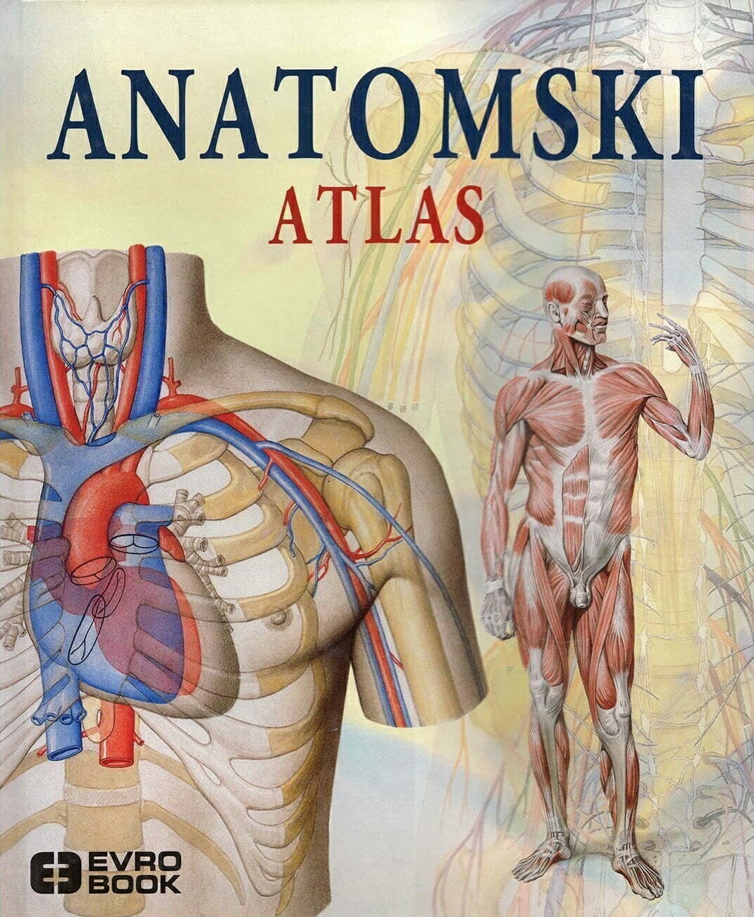 Anatomski atlas - Adrijana Rigut