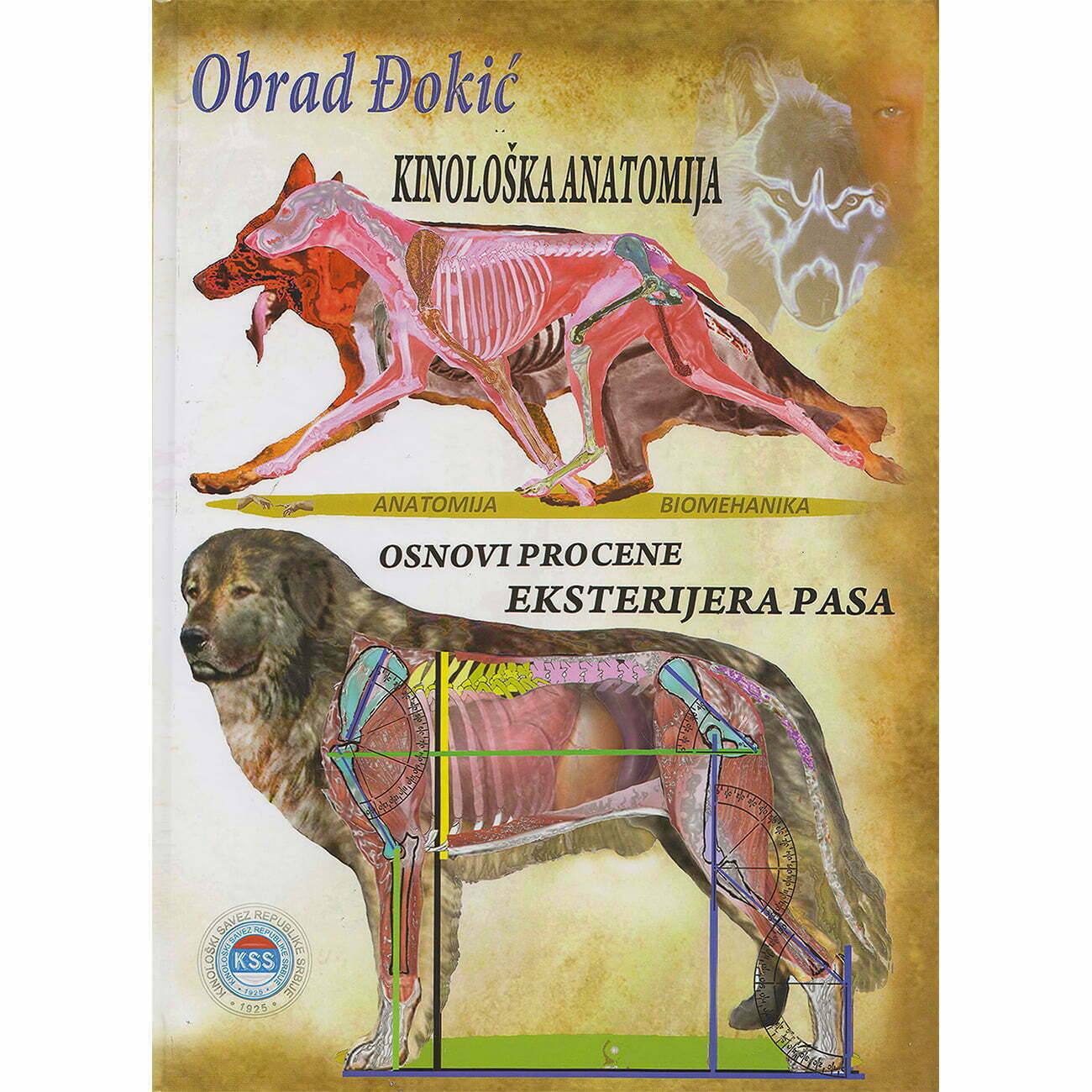 Kinološka anatomija - Obrad Đokić