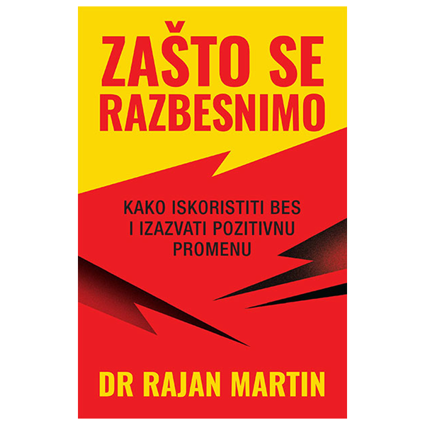 Zašto se razbesnimo - Rajan Martin