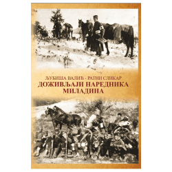 Doživljaji narednika Miladina - Ljubiša Valić